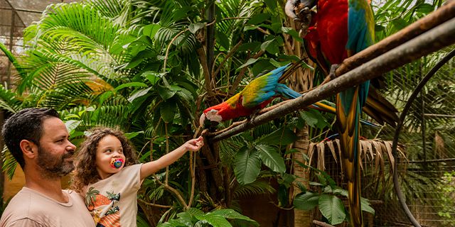 Safari eco rider casela nature parks (9)